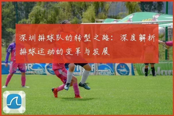 深圳排球队的转型之路：深度解析排球运动的变革与发展
