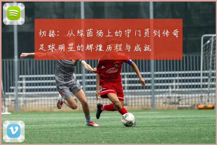 切赫：从绿茵场上的守门员到传奇足球明星的辉煌历程与成就
