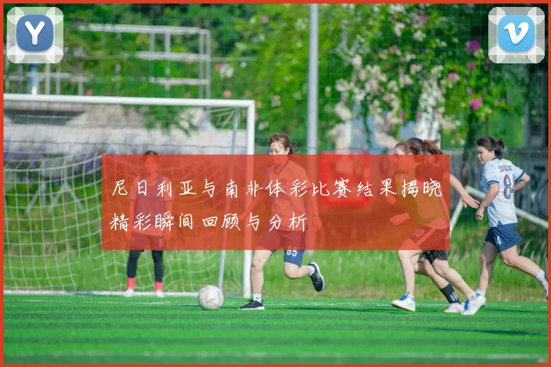 尼日利亚与南非体彩比赛结果揭晓精彩瞬间回顾与分析