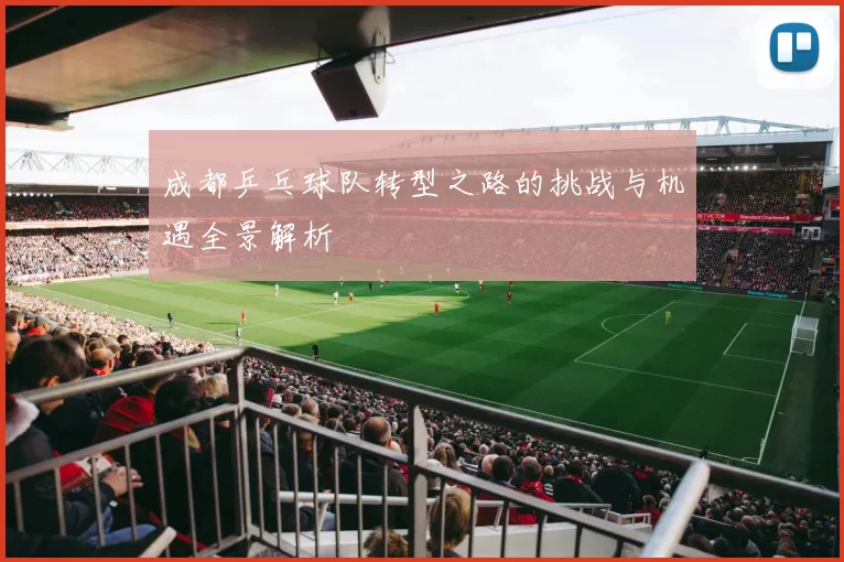 成都乒乓球队转型之路的挑战与机遇全景解析
