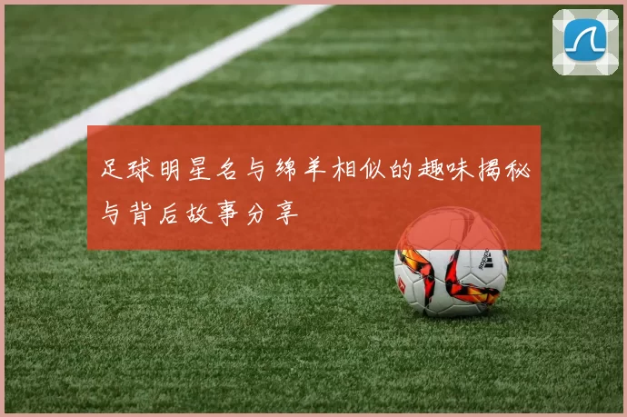 足球明星名与绵羊相似的趣味揭秘与背后故事分享