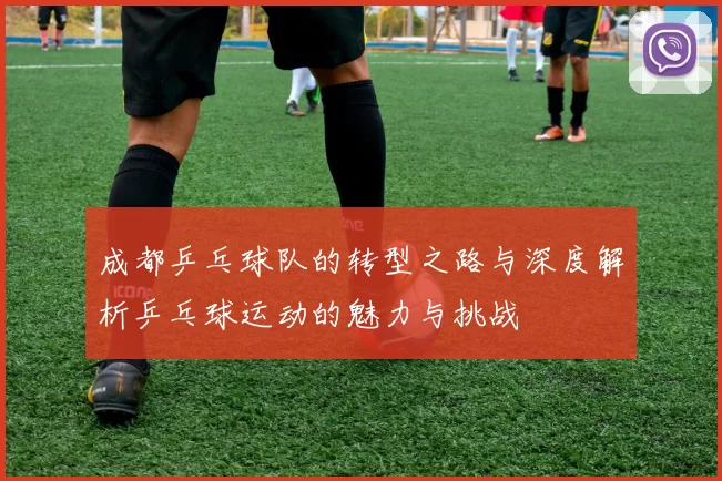 成都乒乓球队的转型之路与深度解析乒乓球运动的魅力与挑战