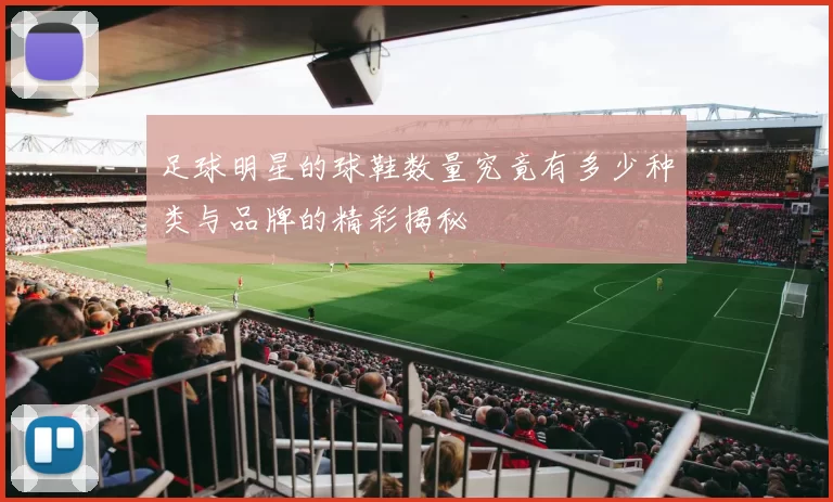 足球明星的球鞋数量究竟有多少种类与品牌的精彩揭秘