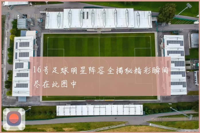16号足球明星阵容全揭秘精彩瞬间尽在此图中