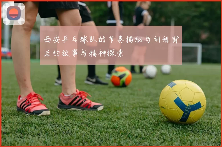 西安乒乓球队的节奏揭秘与训练背后的故事与精神探索