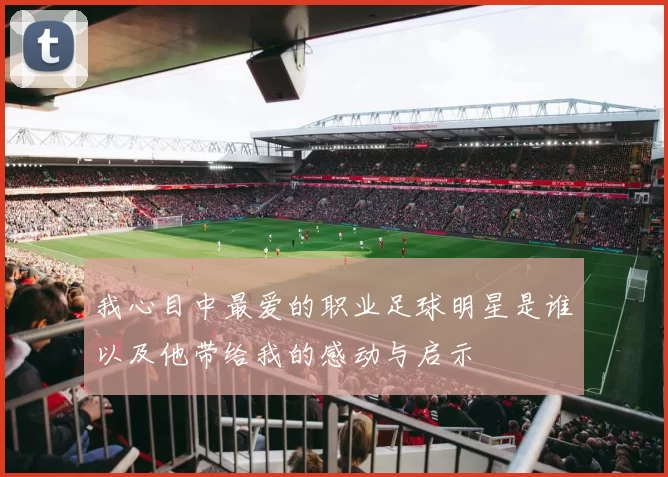 我心目中最爱的职业足球明星是谁以及他带给我的感动与启示
