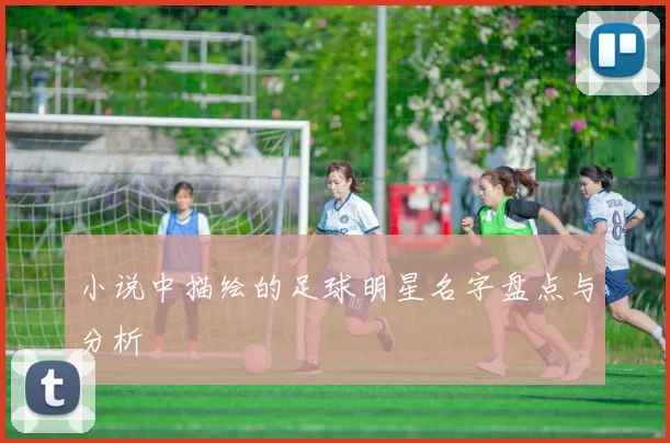 小说中描绘的足球明星名字盘点与分析