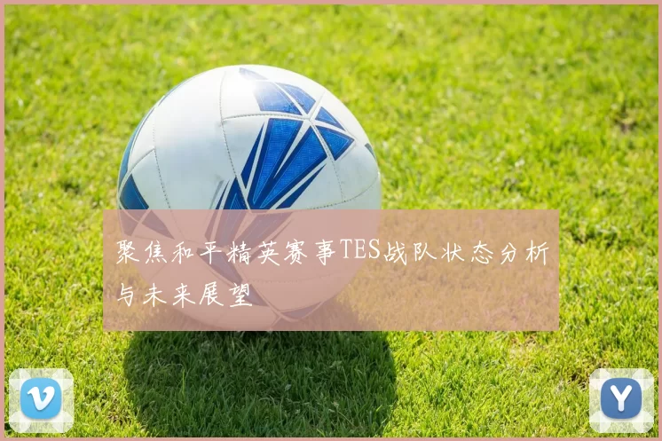 聚焦和平精英赛事TES战队状态分析与未来展望