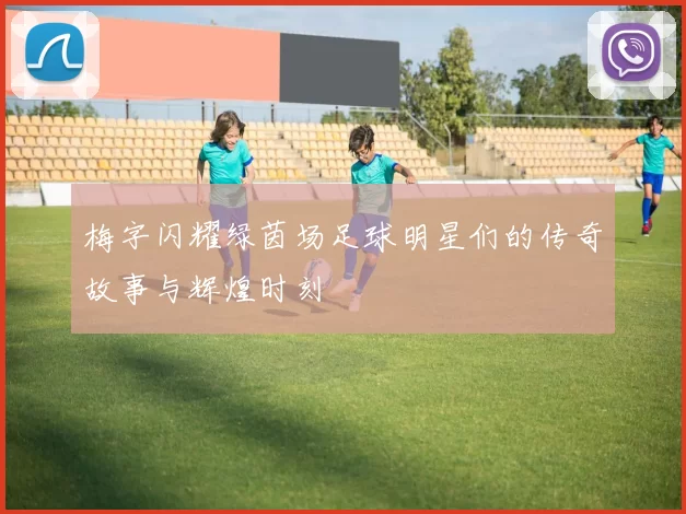 梅字闪耀绿茵场足球明星们的传奇故事与辉煌时刻