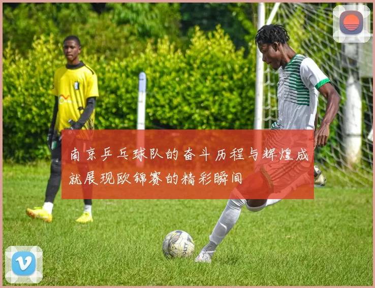 南京乒乓球队的奋斗历程与辉煌成就展现欧锦赛的精彩瞬间