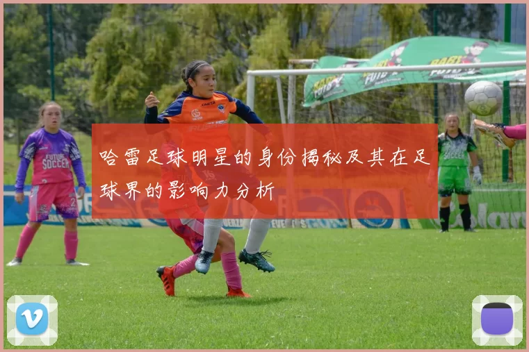 哈雷足球明星的身份揭秘及其在足球界的影响力分析