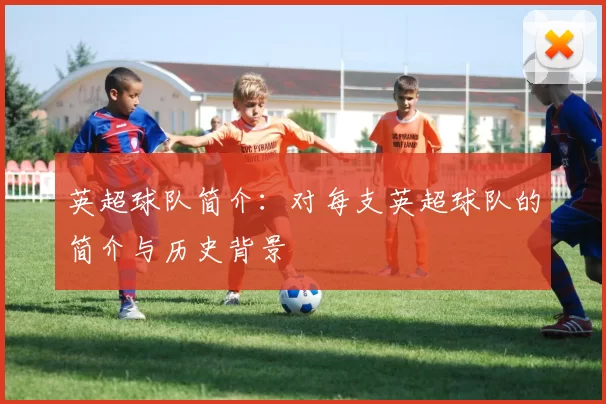 英超球队简介：对每支英超球队的简介与历史背景