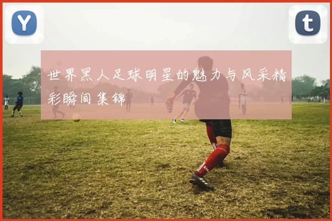 世界黑人足球明星的魅力与风采精彩瞬间集锦
