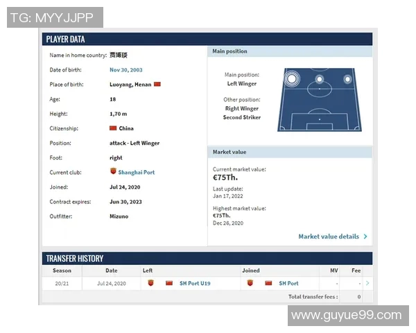 中超联赛：新赛季球队阵容变化及球员转会动态分析