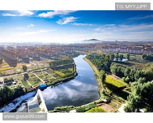 聚焦改革创新推动发展 深化各领域改革释放内生动力 聚焦改革创新推动发展 深化各领域改革释放内生动力