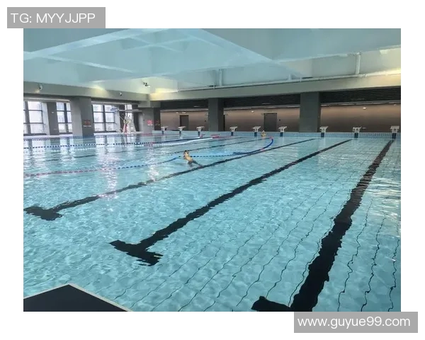 游泳训练技巧与科学方法的全面解析提升游泳能力的训练计划与实战经验