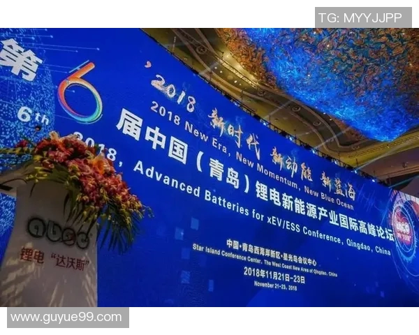 南京羽毛球队的力量与潜力分析聚焦于技术与团队协作的深度探讨