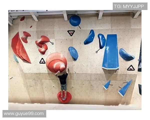 南京攀岩队心理素质深度对比及其对竞技表现的影响分析 南京攀岩队心理素质深度对比及其对竞技表现的影响分析